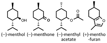 Mentha_piperita.jpg