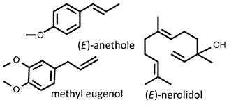 Myrrhis_odorata.jpg