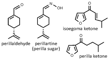 Perilla_frutescens.jpg