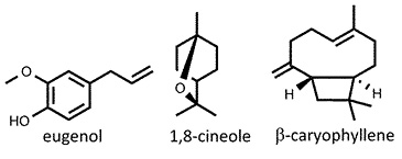 Pimenta_dioica.jpg