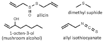 Prelimchemstr2.jpg