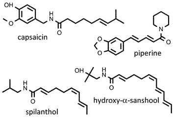 Prelimchemstr4.jpg