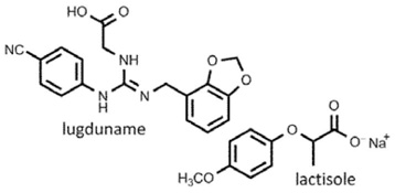 Prelimchemstr8.jpg