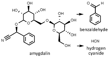 Prunus_amygdalis.jpg