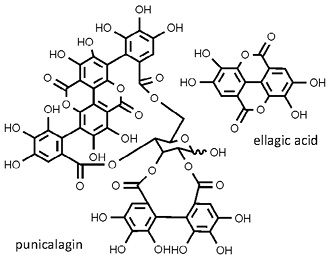 Punica_granatum.jpg