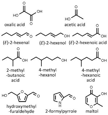 Rheum_rhabarbarum.jpg