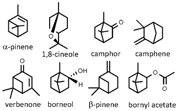 Rosmarinus_officinalis.jpg