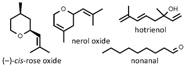 Sambucus_nigra.jpg