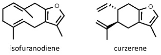 Smyrnium_olusatrum.jpg