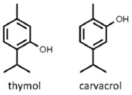 Thymus_vulgaris.jpg