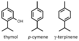 Trachyspermum_ammi.jpg