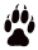 PawPrint-Moonstruck.png