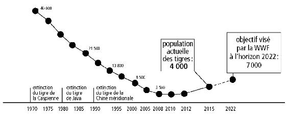 Le déclin du tigre s’accompagne de l’extinction de sous-espèces dans des régions sinistrées : le tigre du Bengale représente à lui seul 75 % de la population restante de l’espèce et sa protection pourrait pratiquement doubler cette population d’ici 2022 (d’après Rodolfo Carlos Pazos/TODAYonline).