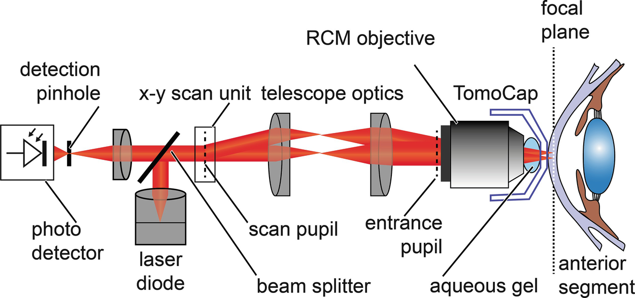 ../images/466648_1_En_12_Chapter/466648_1_En_12_Fig4_HTML.png