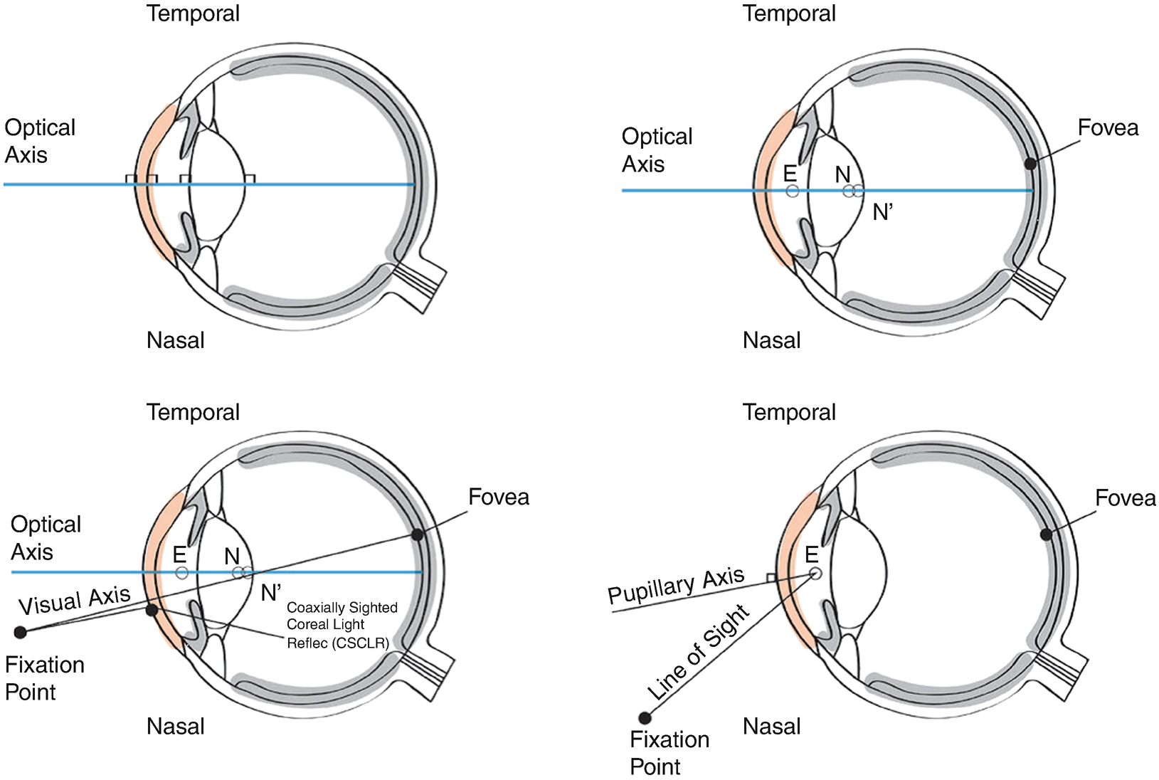 ../images/466648_1_En_14_Chapter/466648_1_En_14_Fig11_HTML.png