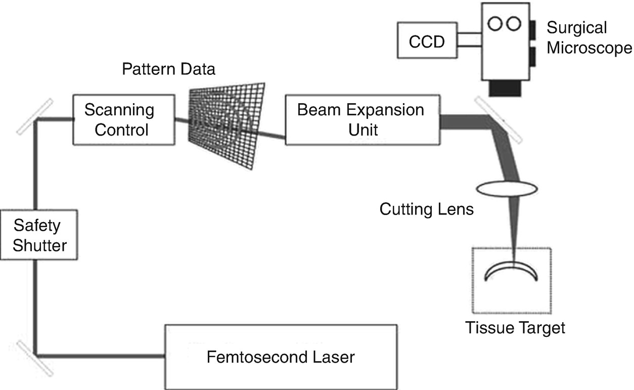 ../images/466648_1_En_14_Chapter/466648_1_En_14_Fig4_HTML.jpg