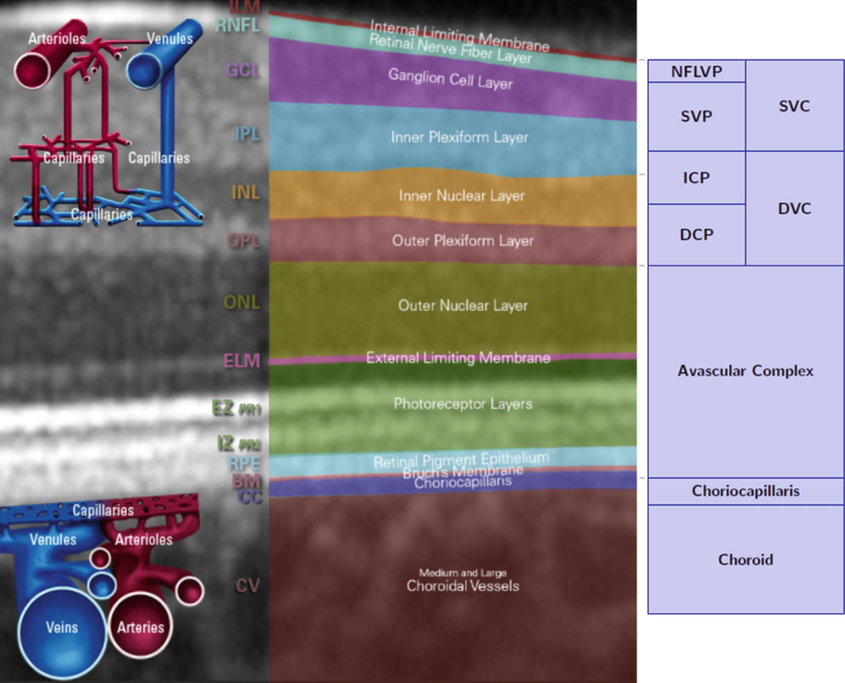 ../images/466648_1_En_6_Chapter/466648_1_En_6_Fig4_HTML.jpg