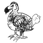 Drawing of Dodo