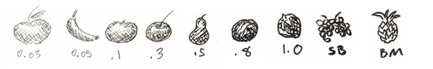 Drawing of fruit with different size pen nibs