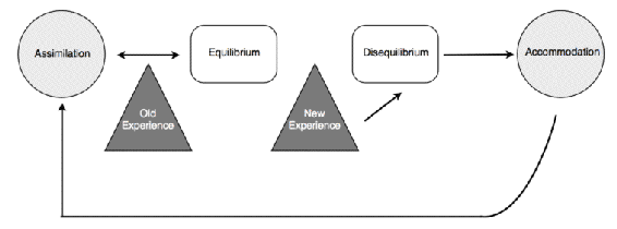 Flow_Chart_of_Piagets_Adaption-758x281.png