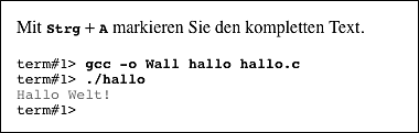 Die Webbrowser entscheiden selbst, wie sie den Text zwischen <kbd> und <kbd> für die Eingabe bzw. <samp> und </samp> anzeigen.