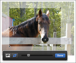 **Figure 143:** Use the cropping control to display part of an image.