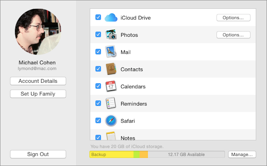 **Figure 1:** Use the iCloud pane in System Preferences to sign in to your iCloud account and to enable applications to use iCloud.