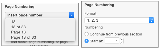 **Figure 91:** The Page Numbering settings you see depend on whether a page number already appears in the header or footer.