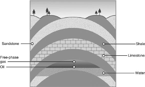 c2-fig-0003