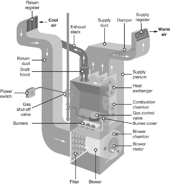 c4-fig-0002