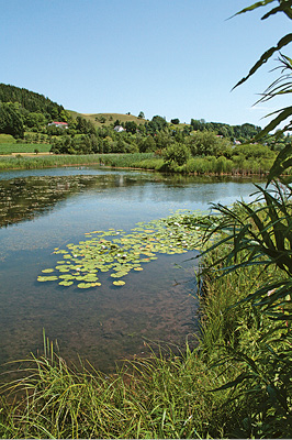 Heinz-Sielmann-Weiher3.tif