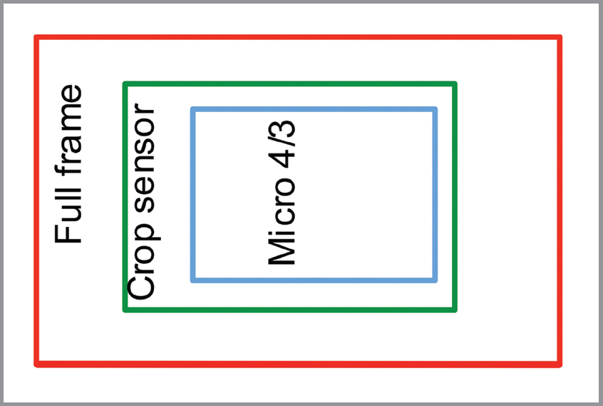 The comparative sizes of...