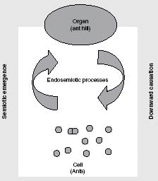 Fig. 10.3