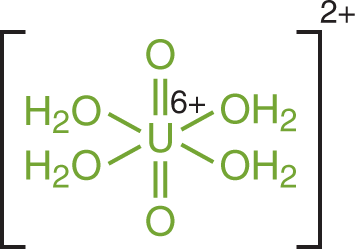 uranium with four bonds to water molecules and two double bonds to other oxygens