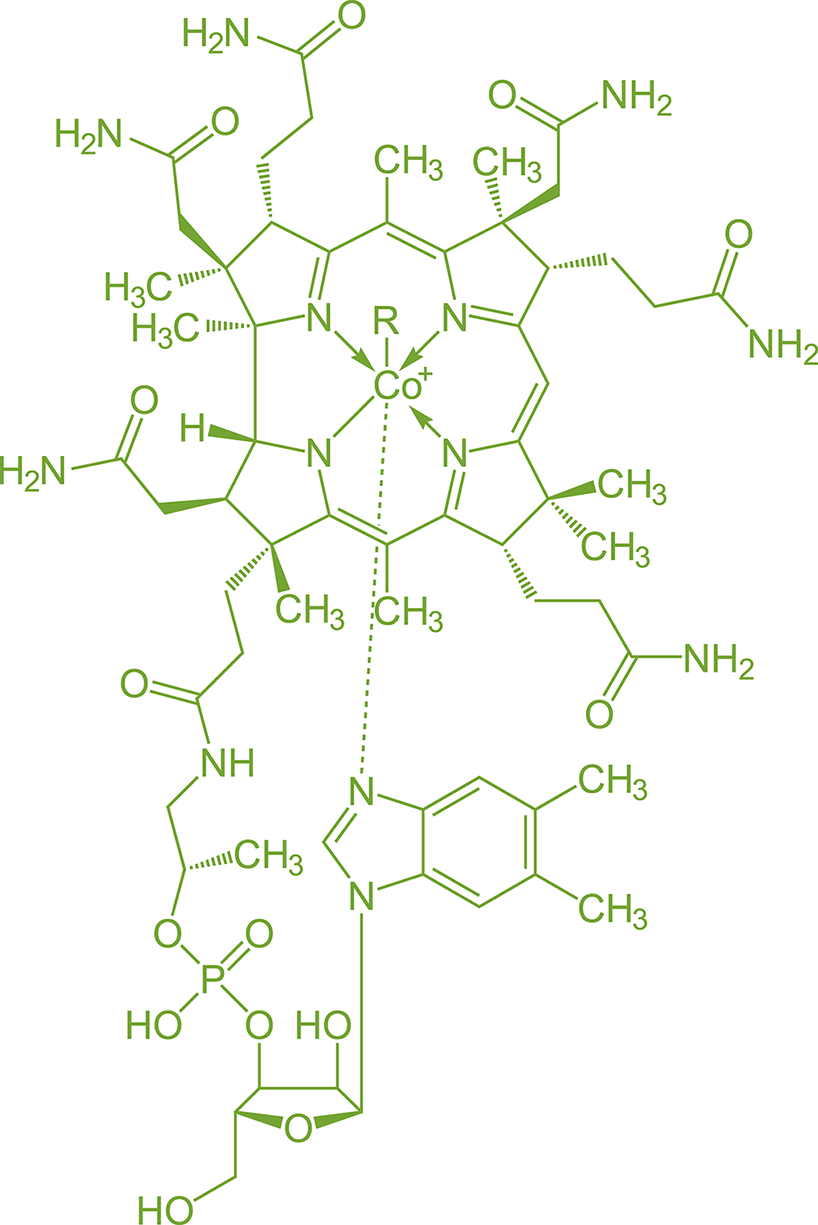 large complex molecule with cobalt in the middle