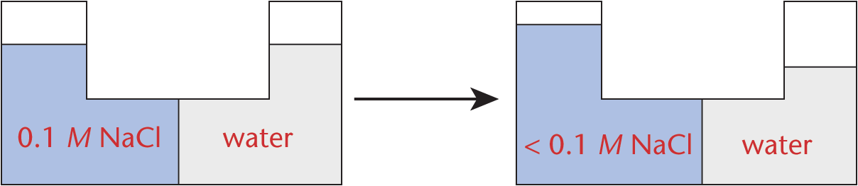 0.1 molar sodium chloride on left, water on right; after water moves right to left, level is higher on left than right and concentration is <0.1 molar