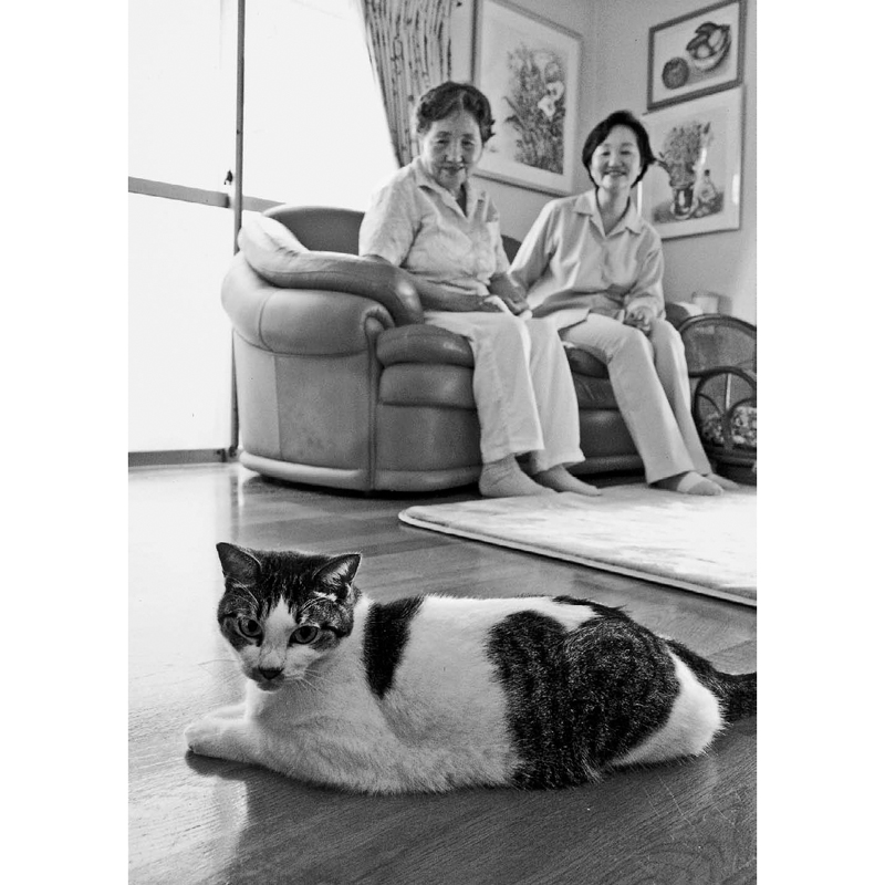 Mimí, mamma, io: tre animaletti in relax nel soggiorno. Foto di Kageyama Masao.