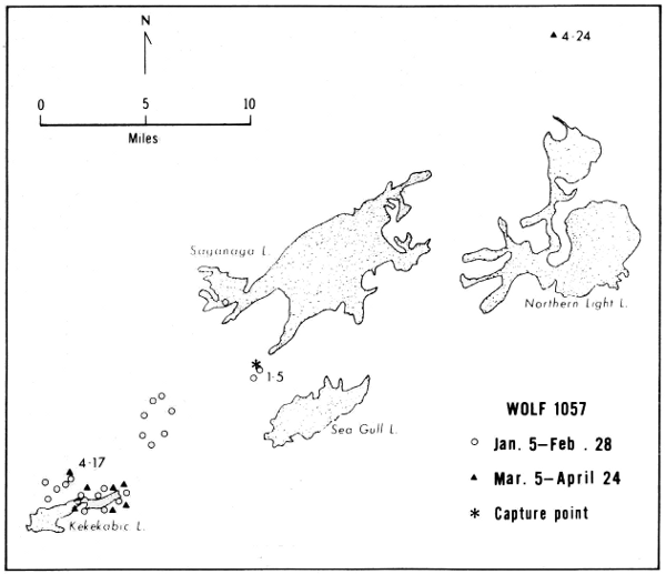 Figure 23.—Locations and range of wolf 1057. Only selected lakes are shown.