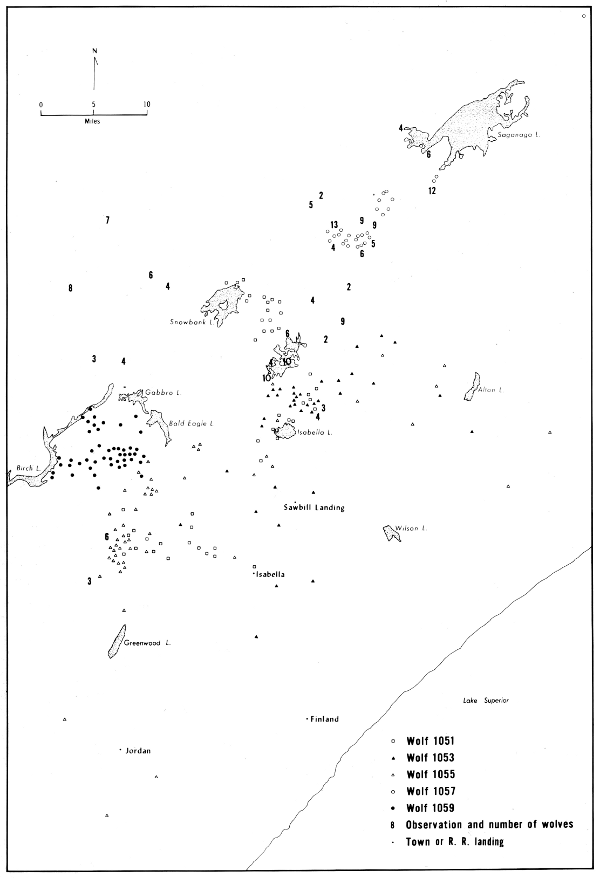 Figure 35.—Locations of all radiotagged wolves and unmarked packs observed during winter 1968-69, except dispersal of 1051 out of the study area. Only selected lakes shown.