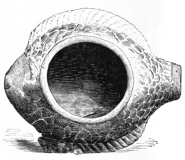 Fig. 405.—Missouri Mound-builders’ Vase. (Smithsonian Institution, 27,939.)