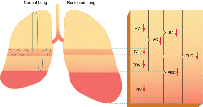 A331529_1_En_30_Fig5_HTML.gif