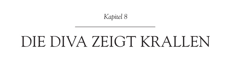 kapitel-8.jpg