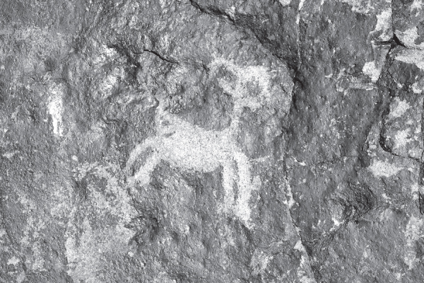 Pictograph showing a ram.