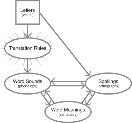 Schematic for Letters, sounds, meaning, and spelling.