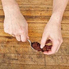 _MG_0458process_truffles.tif