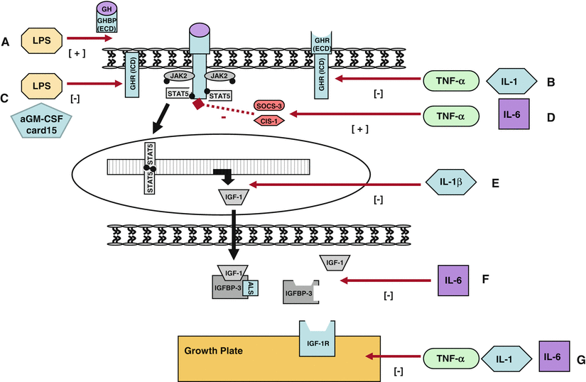 A126025_3_En_12_Fig3_HTML.gif