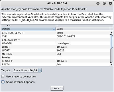 Dialog zur Einstellung der Parameter eines Exploit-Moduls   