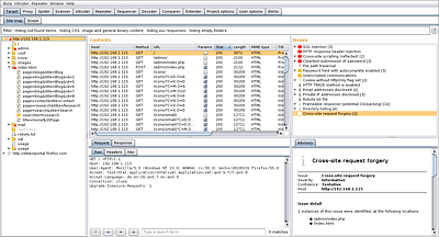 Das Burp Main Window zeigt die einzelnen Aufrufe mit zugehörigen Parametern.   