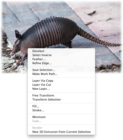 To let you know an area is selected, Photoshop surrounds it with tiny, moving dashes that look like marching ants. Here you can see the ants running around the armadillo.If you Control-click (right-click) inside the selection, you see the shortcut menu shown here, which gives you super quick access to frequently-used, selection-related commands.(FYI, the nine-banded armadillo is the state animal of Texas. Didn’t think you’d learn that from this book, did ya?)