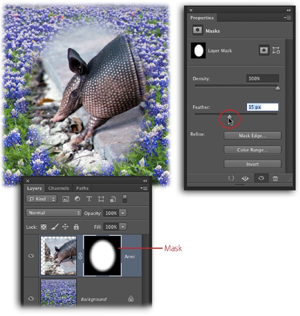 By creating a selection with the Elliptical Marquee tool, adding a layer mask (page 109), and then feathering the mask, you can create a quick two-photo collage like this one. Wedding photographers and moms—not to mention armadillo fans—love this kind of thing! By using the Properties panel to apply a feather, you gain the ability to change the feather amount later on (provided you save the document as a PSD file).Once you get the hang of this technique, try creating it using the Ellipse tool (one of Photoshop’s vector shape tools) set to draw in Path mode, as described on page 536.